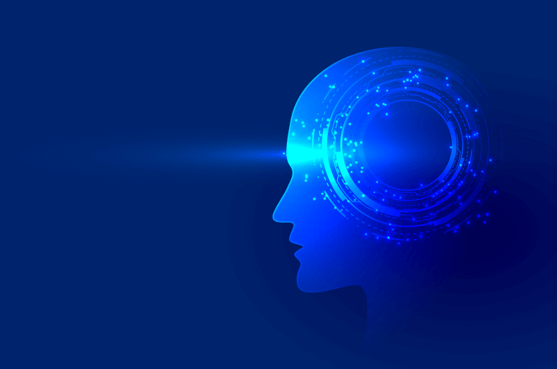 網站建設開發大腦(網站建設開發大腦的方法)