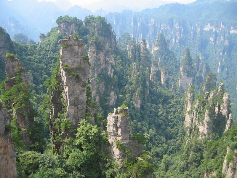 關于張家界網站建設的信息