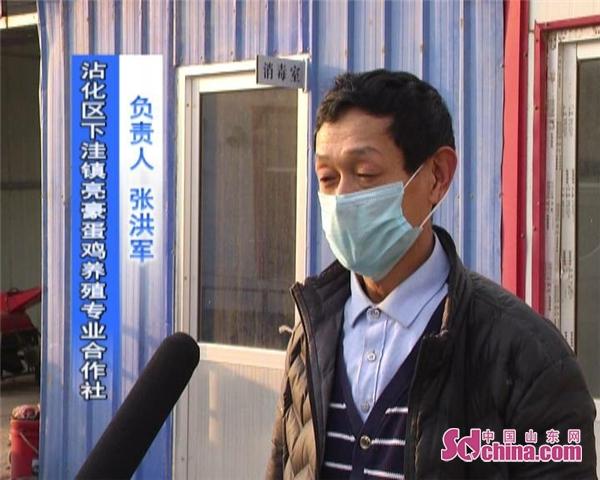 沾化網站建設(中國沾化門戶網站)