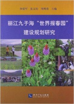 麗江網站建設的簡單介紹