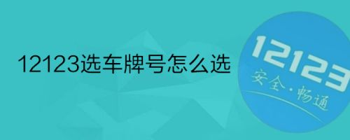 選車牌號網站建設(車牌選號網站是什么)