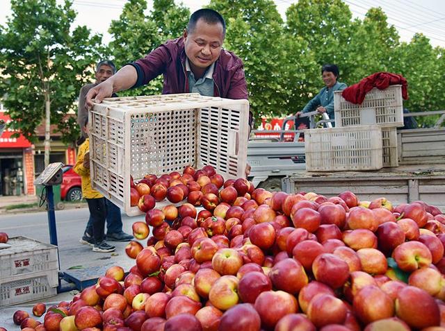 碭山互聯(lián)網(wǎng)水果新聞(碭山縣新聞網(wǎng)最新新聞)