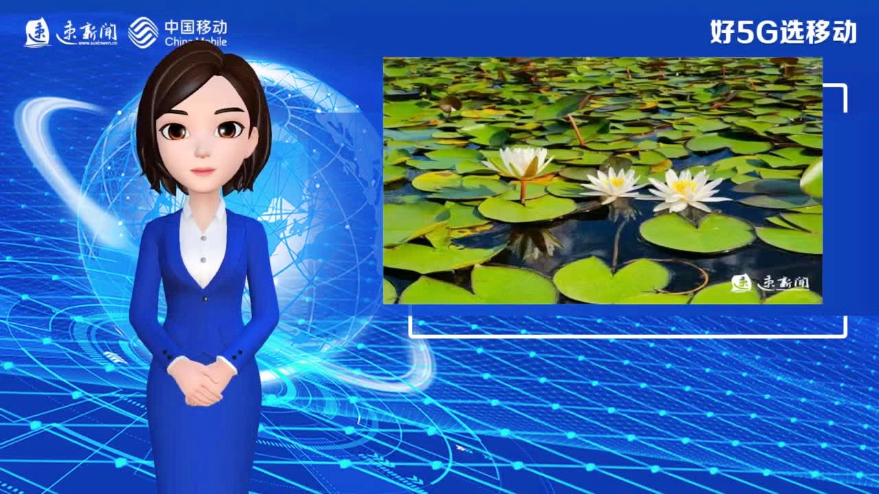 互聯(lián)網(wǎng)新聞轉(zhuǎn)語音播報(bào)(互聯(lián)網(wǎng)新聞轉(zhuǎn)語音播報(bào)是真的嗎)