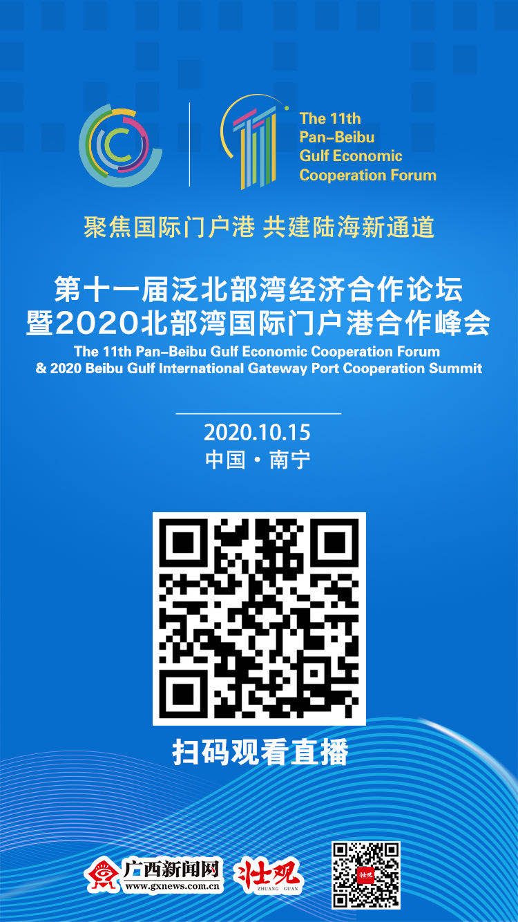 互聯網北部灣論壇最新消息(互聯網北部灣論壇最新消息今天)