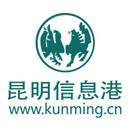 昆明網站建設優惠(昆明網站建設哪兒好薇)